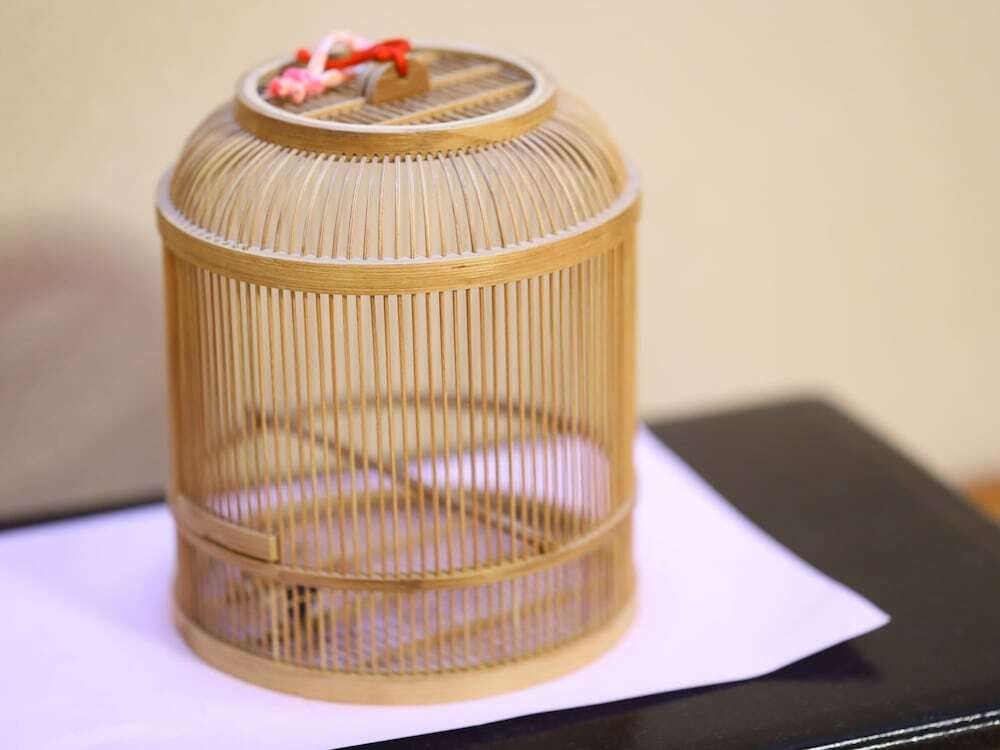 客室の設備とサービス