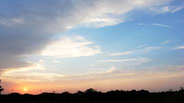 施設からの眺望 / 11