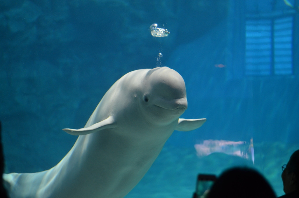 シンプルルームに便利な備品がたくさん♪旅の不便を感じない3908297