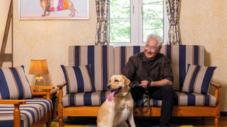 プレミア コテージ