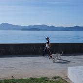 瀬戸内ヴィラ ダイアリー大芝島（広島県 別荘・ヴィラ・コンドミニアム） / 5