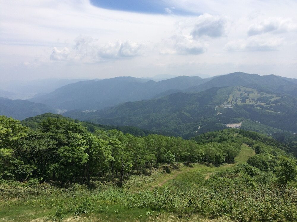 ハイキング