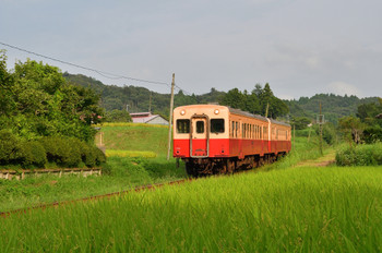 "Yoro Valley" is easily accessible from the city center♪3444284