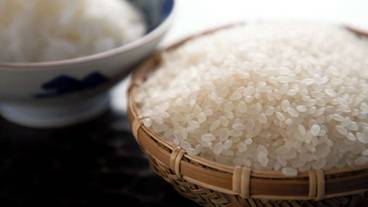 食事・飲み物 / 5