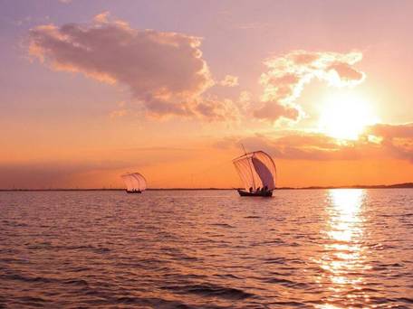 kasumi terrace 霞ヶ浦 / 2