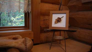 内装の詳細 / 13