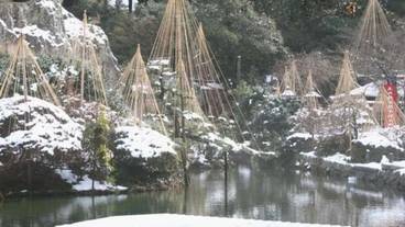 ランド ビュー / 40