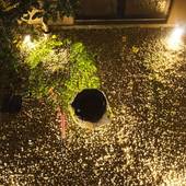 奥飛騨温泉郷 新穂高温泉 雪紫（岐阜県 旅館） / 4