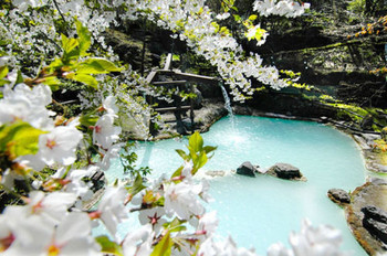 Gorgeous and romantic ♡ Let's go to an inn with a "hanami open-air bath"2006619