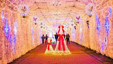 ランド ビュー / 36