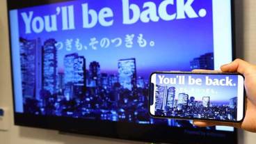 客室の設備とサービス / 11