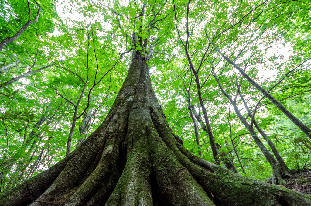 オーシャンビューの露天風呂＆大正ロマンな雰囲気が素敵♪4087225