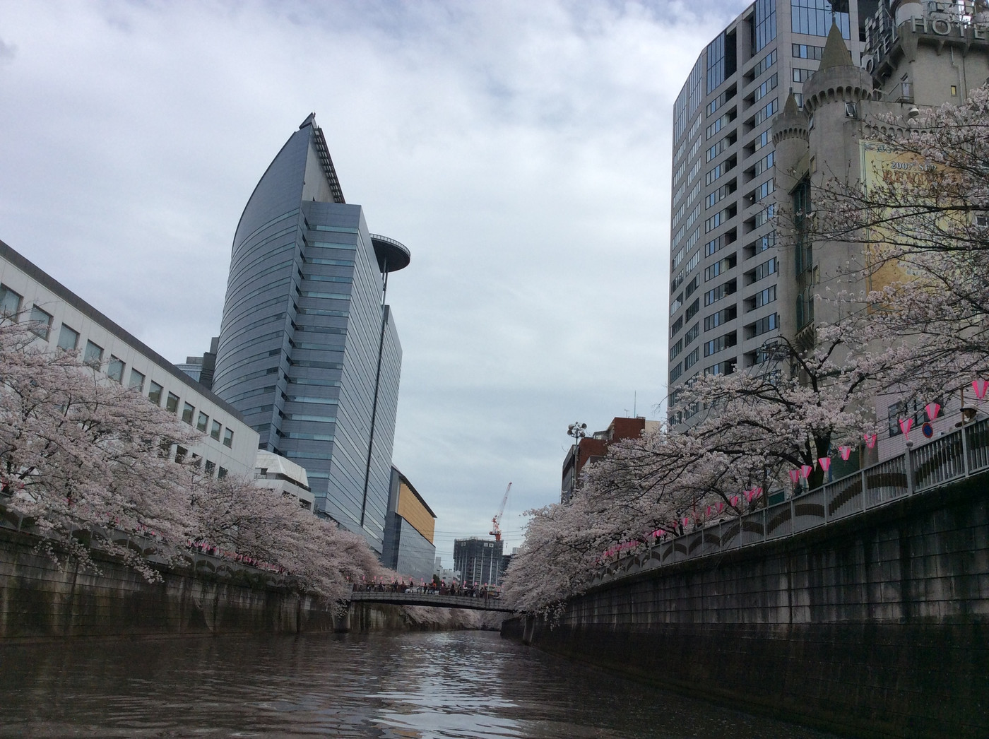 北品川から目黒まで。都内屈指の桜の名所を散策!1014815