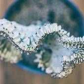 おがわ旅館 Ryokan Ogawa（静岡県 旅館） / 2