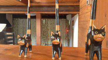 客室の設備とサービス / 14