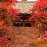 京都の秋は紅葉や祭りと盛りだくさん！京都の秋（9月～11月）の楽しみ方をご紹介