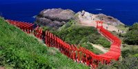 日本一お賽銭が入れづらい!?山口の美しい神社「元乃隅稲成神社」