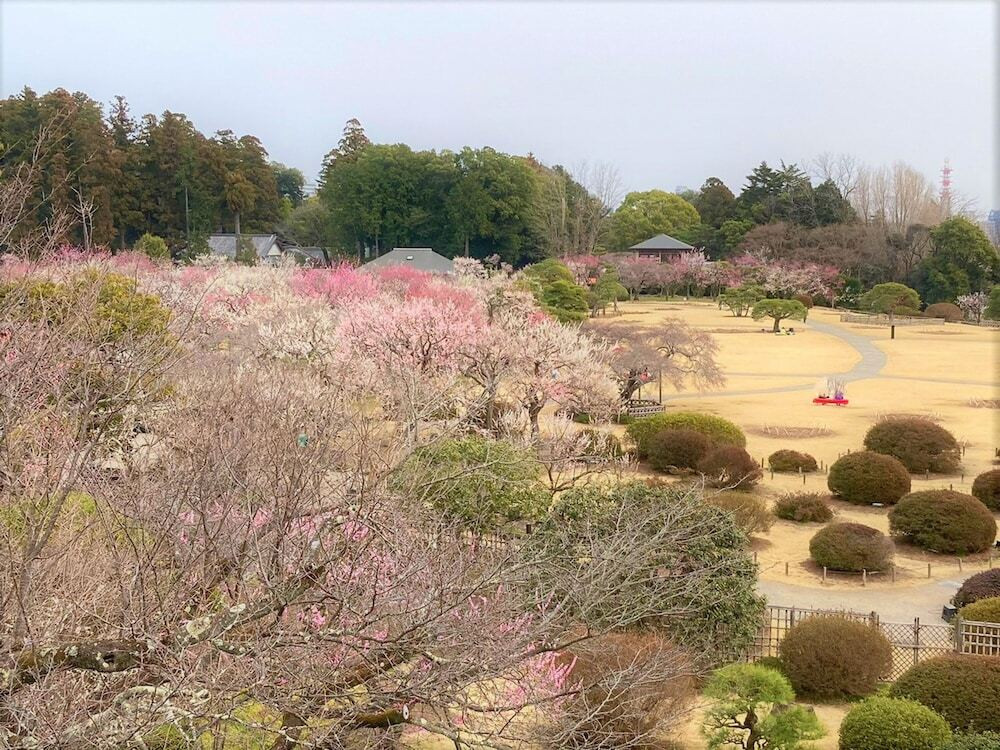 観光スポット