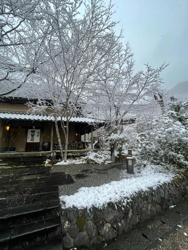 rrrr._rika5さんの写真 / 1