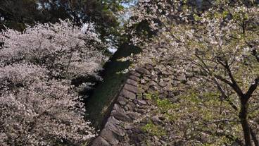 観光スポット / 9