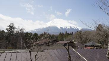 マウンテン ビュー / 22