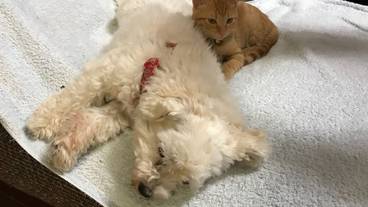 施設内の設備 / 7