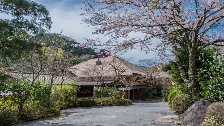 谷川の湯 あせび野（タニカワノユ　アセビノ） / 1