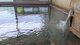 ベーシック ルーム マウンテンビュー