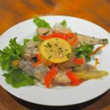 ベクタービア 新宿御苑前駅店(ベクタービア)