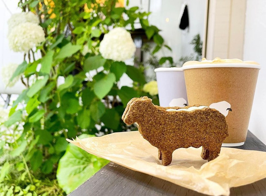 可愛くて写真映え抜群の「LODI ロヂ」のひつじクッキー / 6