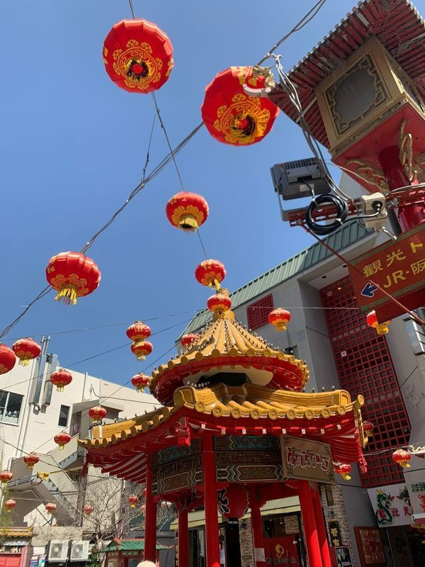 aho___amさんの写真 / 1