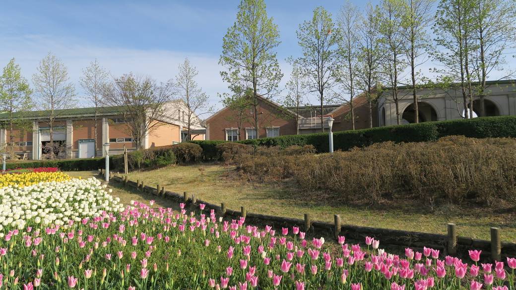 神戸フルーツ・フラワーパーク② / 3