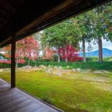 京都らしい景色を見て
心まで晴れやかに / 3