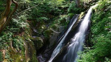 観光スポット / 38