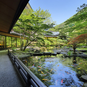 水を豊かに湛えた落ち着きある日本庭園3649506