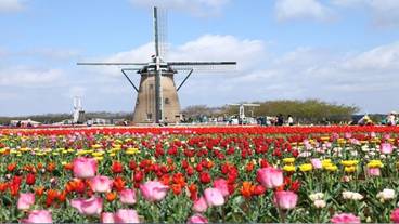 観光スポット / 35