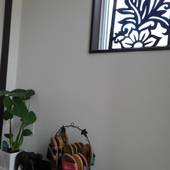 あしぴ ぎのざ（沖縄県 コテージ・ロッジ・一棟貸） / 2