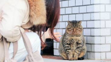 ランド ビュー / 17