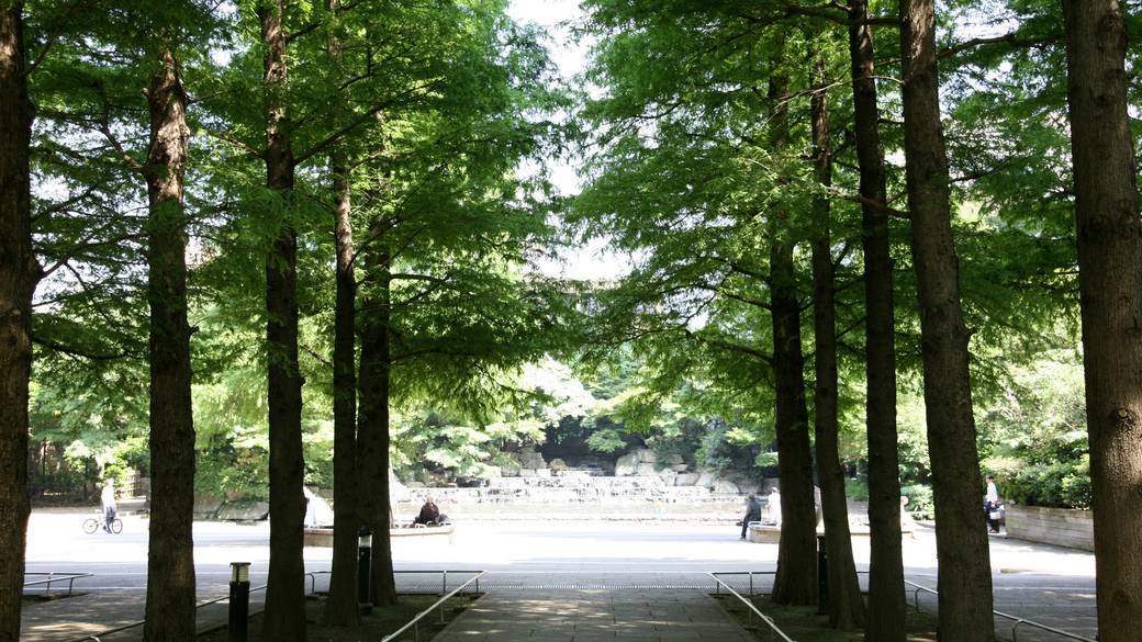 朝の涼しい時間に
公園をおさんぽ / 1