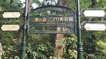 観光スポット / 22