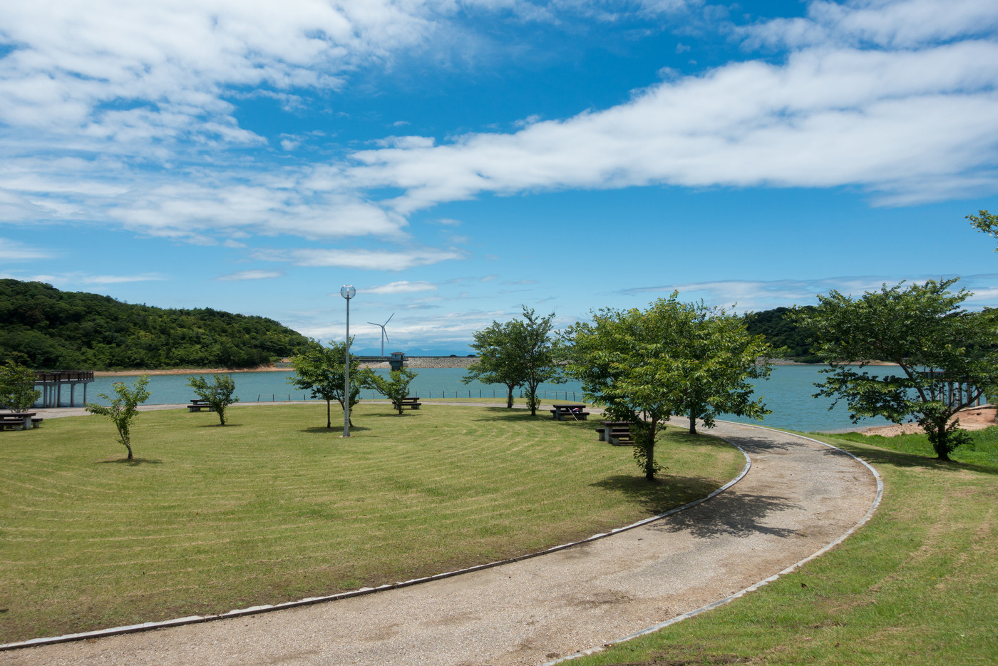[愛知県]　初立池公園 菖蒲　紫陽花