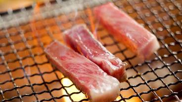 食事・飲み物 / 7