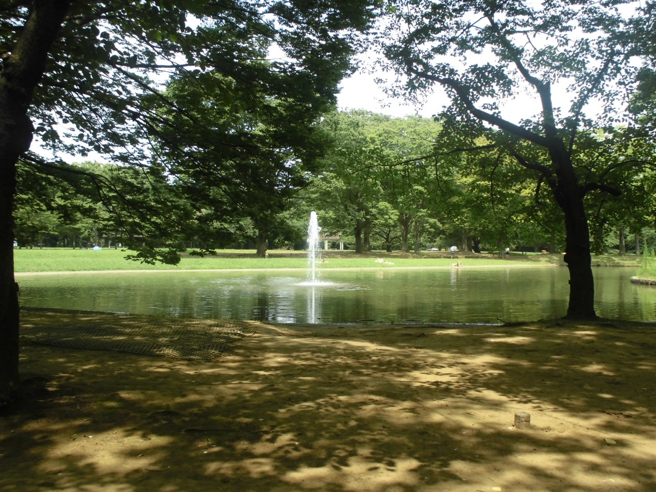 1. 代々木公園1153052