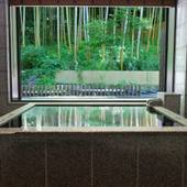 有馬温泉 竹取亭円山（兵庫県 旅館） / 2