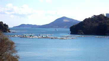 部屋からの景観 / 12