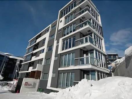 Snow Crystal（スノー・クリスタル） / 1