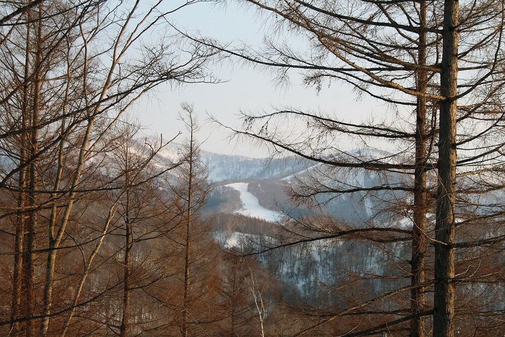 マウンテン ビュー