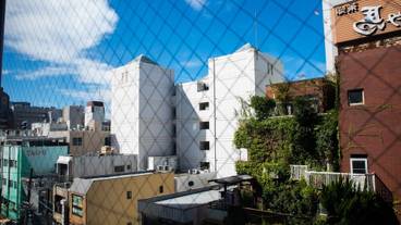 シティ ビュー / 24