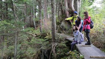 観光スポット / 15