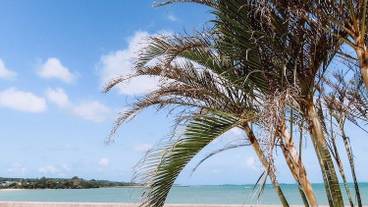 施設からの眺望 / 6